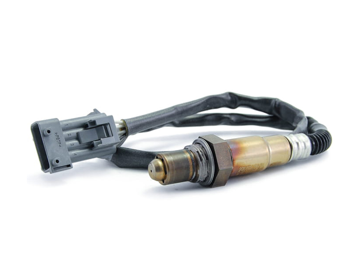 ① レオンシェリー ts0642-2.jpg?t=20250703125040